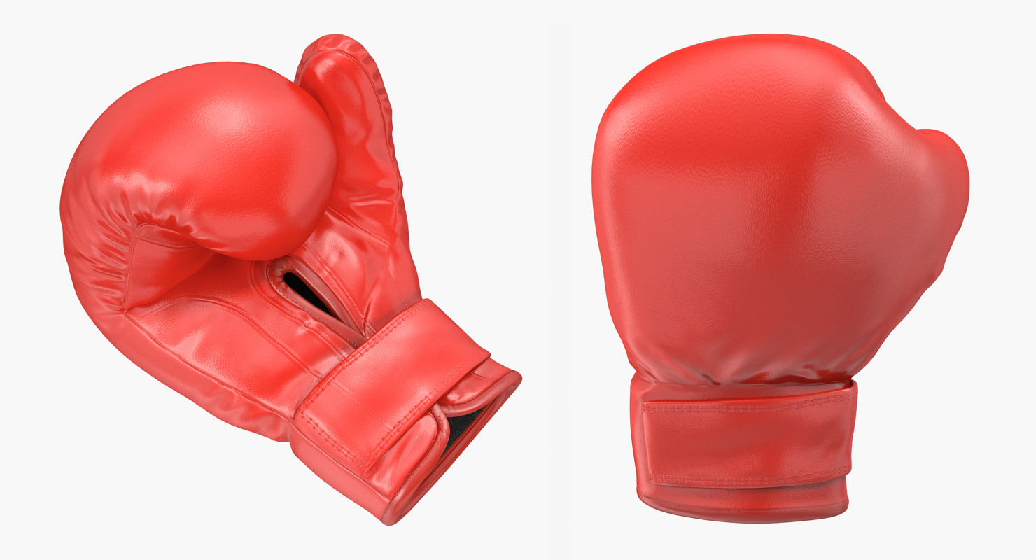 Boxing Gloves Fighting Pose 3D