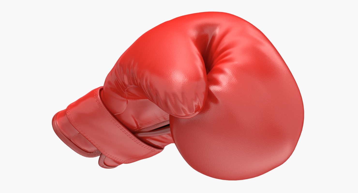 Boxing Gloves Fighting Pose 3D