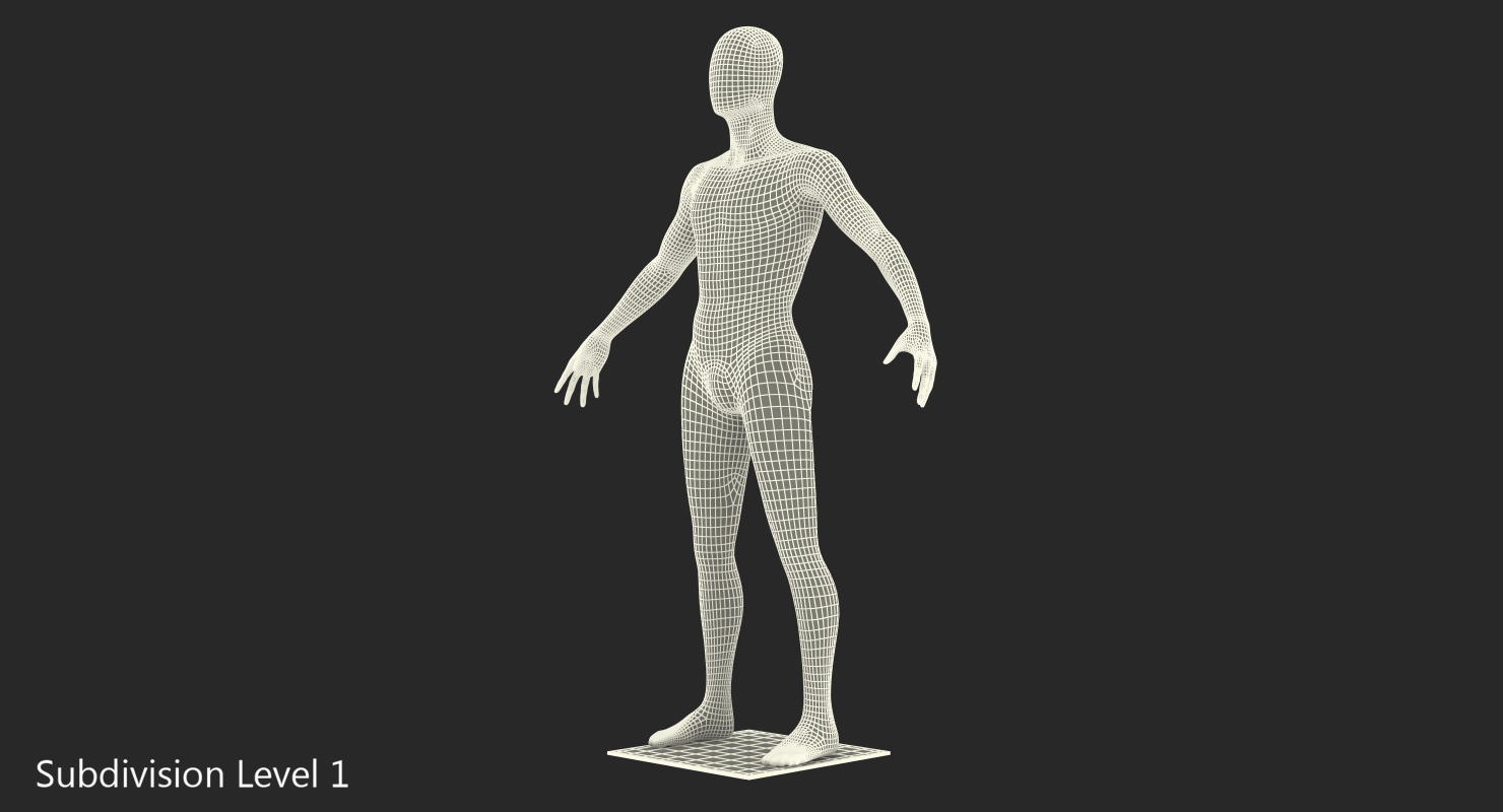 3D Male Mannequin Rigged