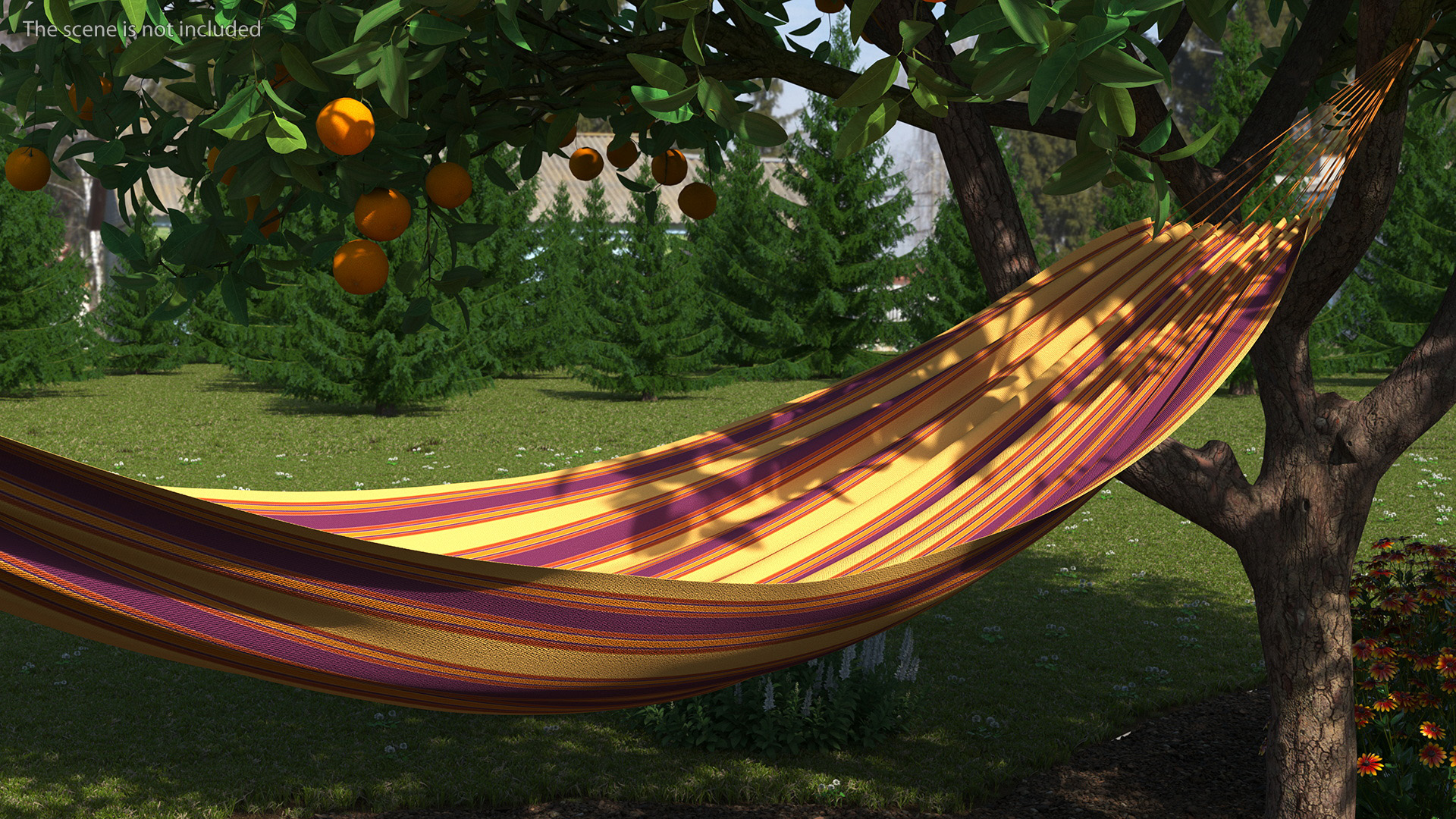 Striped Fabric Hammock 3D