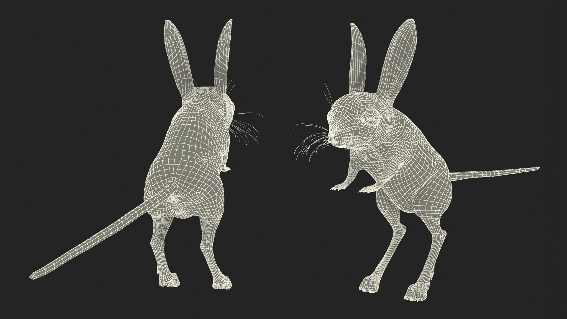 3D Long Eared Jerboa Fur