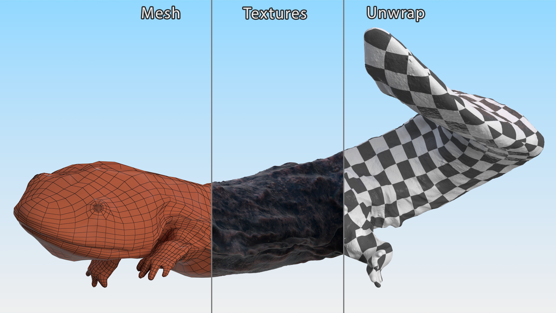 3D model Giant Salamander Dark Swimming