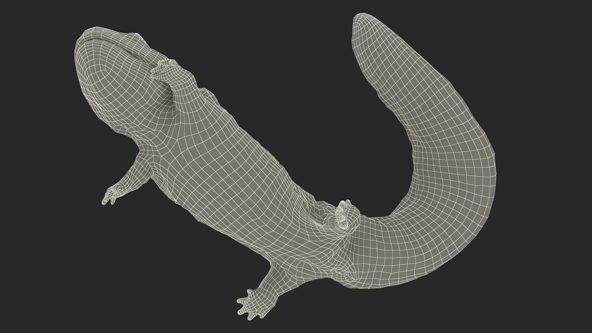 3D model Giant Salamander Dark Swimming