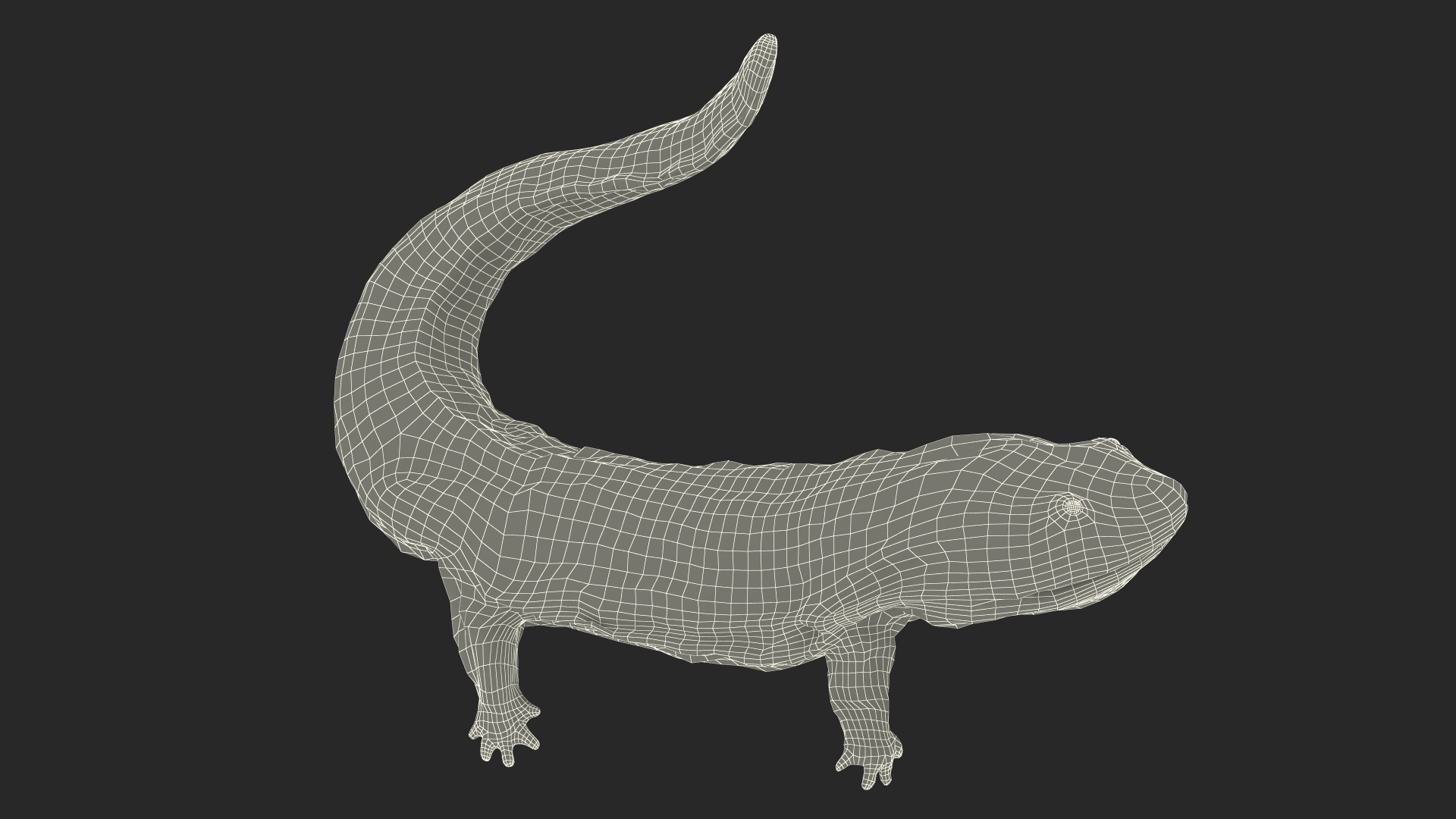 3D model Giant Salamander Dark Swimming