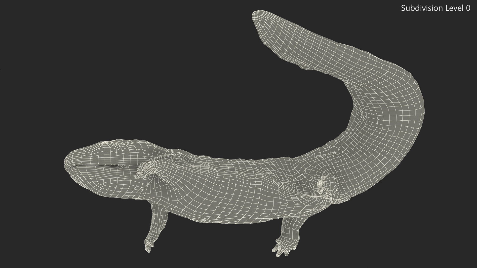 3D model Giant Salamander Dark Swimming