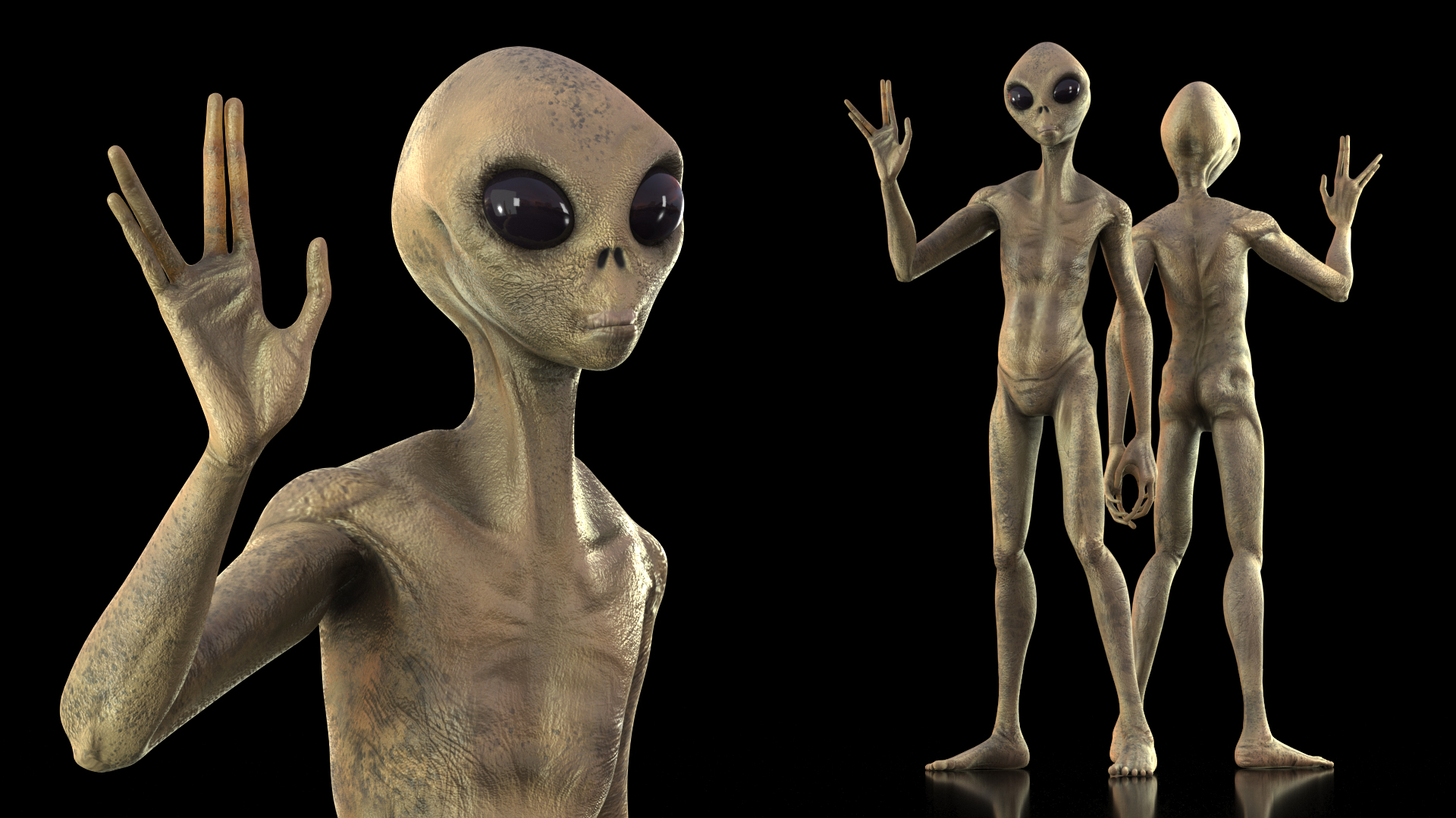 Humanoid Alien Creature Greeting Pose 3D