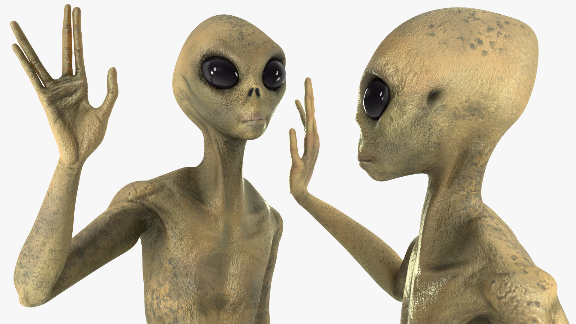 Humanoid Alien Creature Greeting Pose 3D