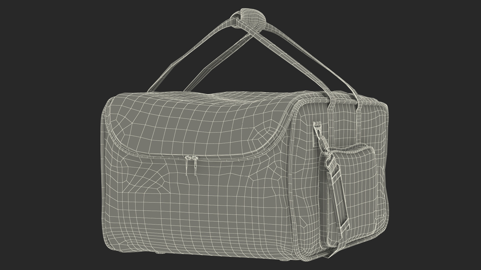 3D Gator Lighting Bag model