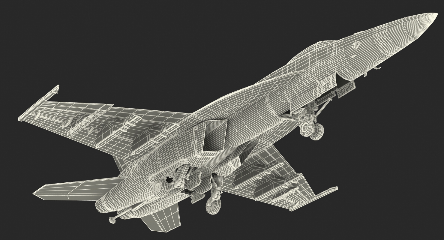 Fighter FA 18EF Super Hornet Rigged 2 3D