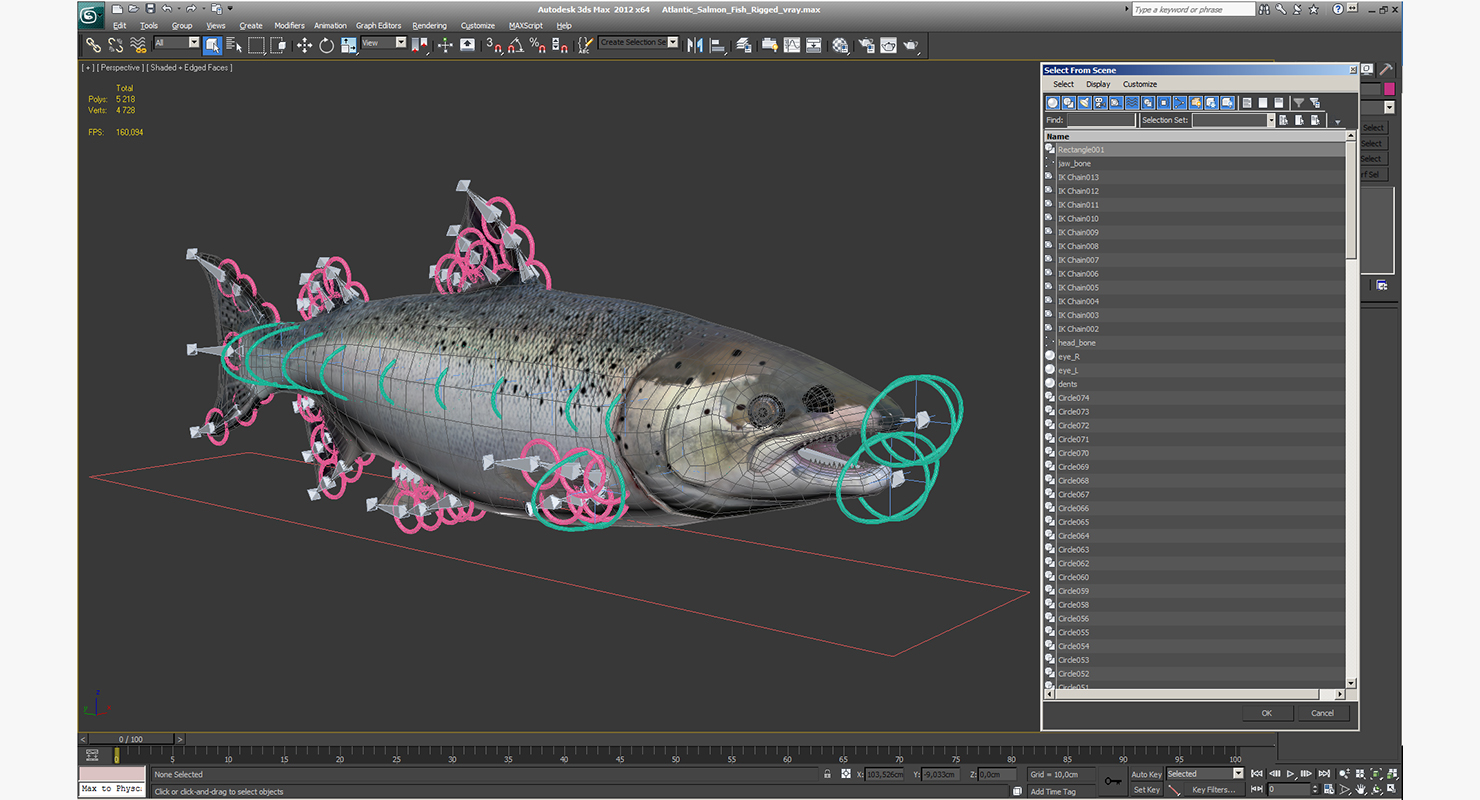 Atlantic Salmon Fish Rigged 3D