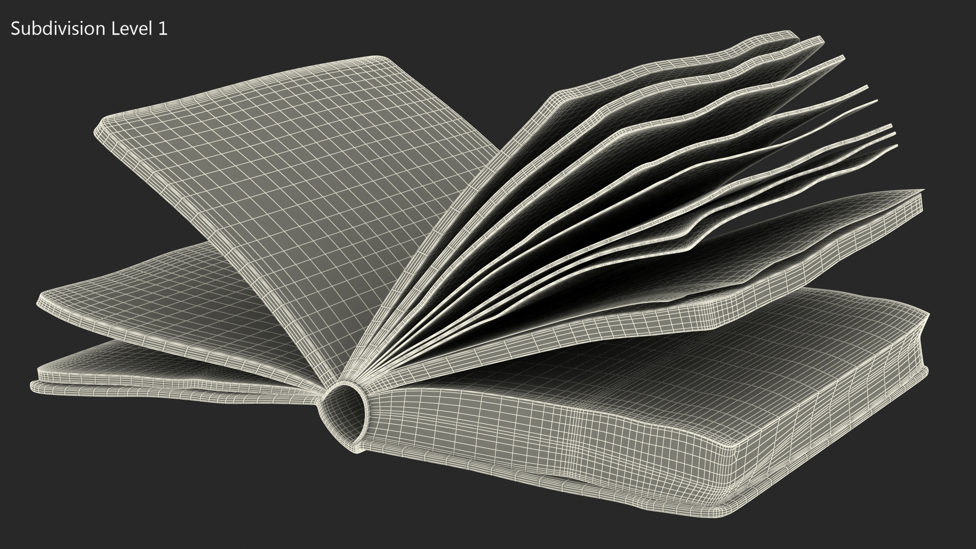 3D Half-Opened Clean Old Book