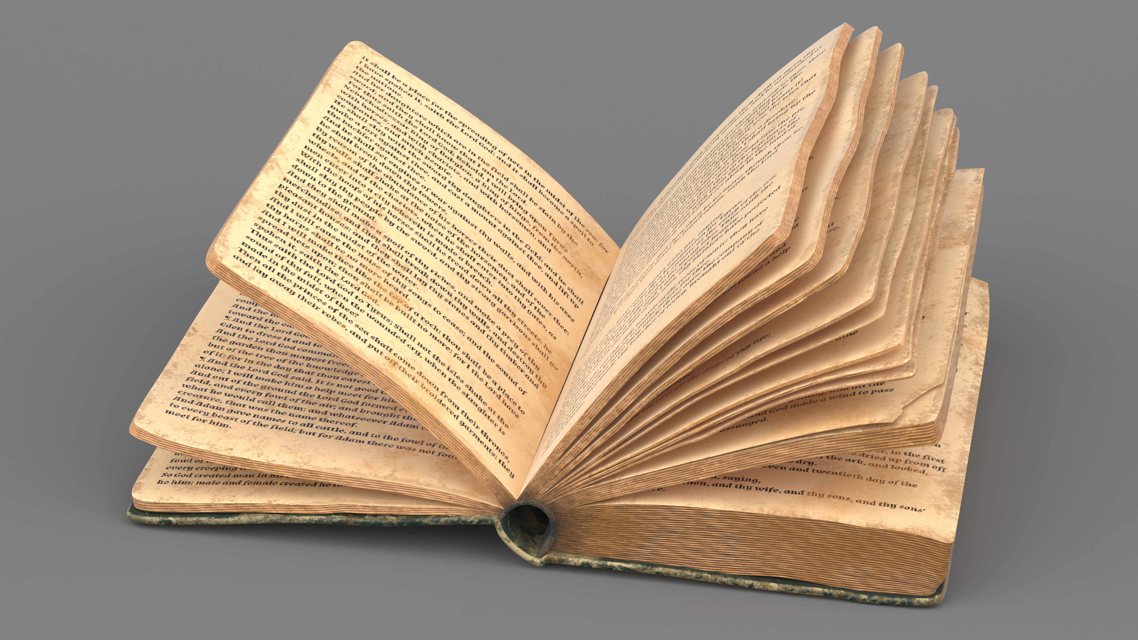 3D Half-Opened Clean Old Book