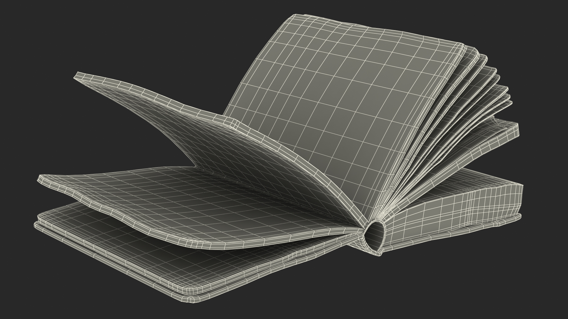 3D Half-Opened Clean Old Book