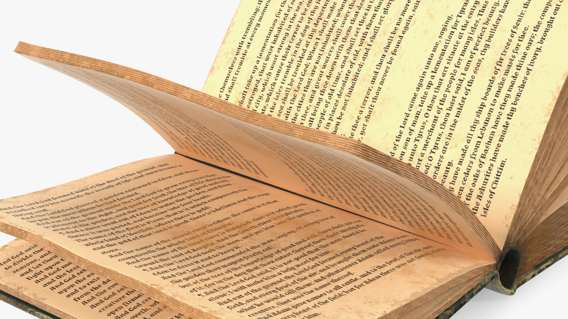 3D Half-Opened Clean Old Book