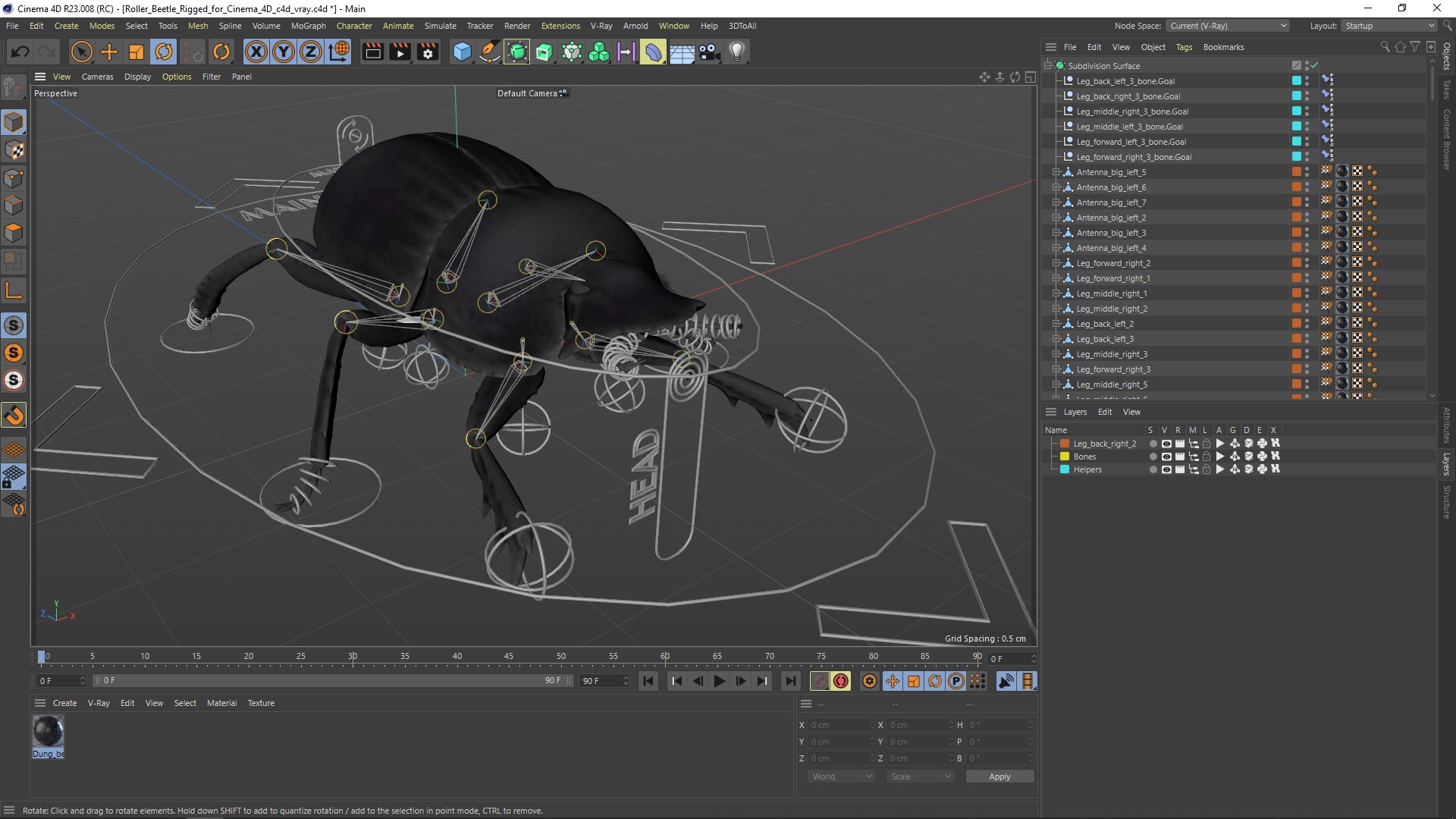 Roller Beetle Rigged for Cinema 4D 3D model