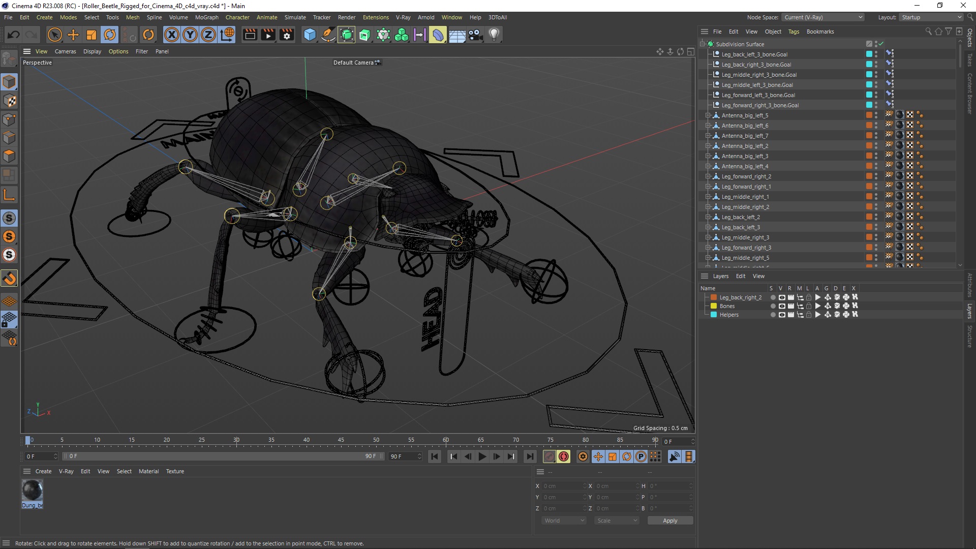 Roller Beetle Rigged for Cinema 4D 3D model