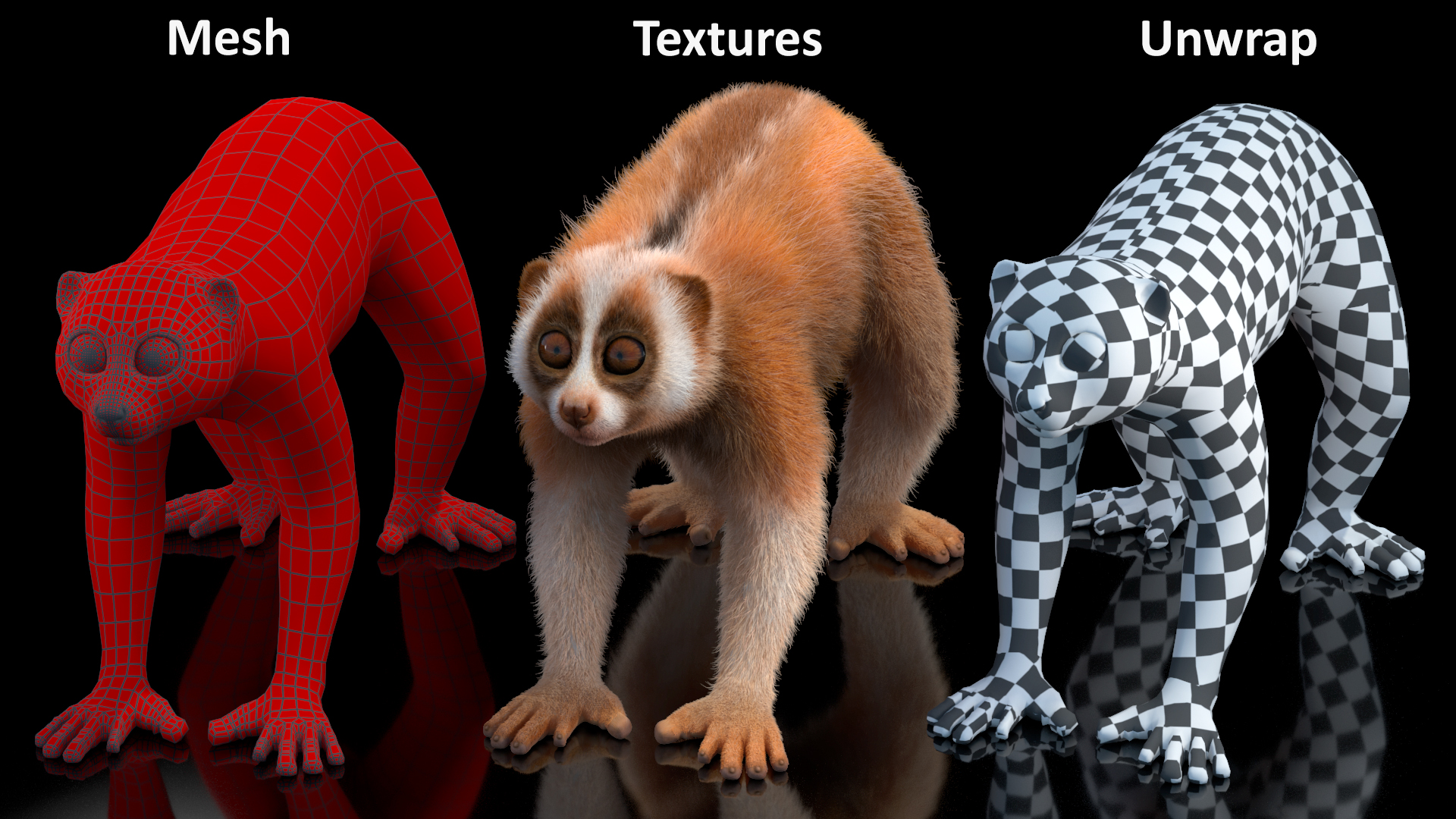 3D Slow Loris Fur Rigged