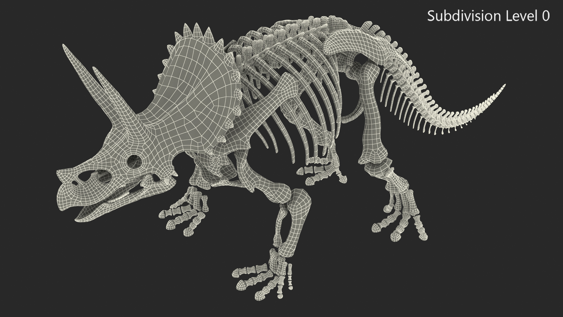 Triceratops Skeleton Fossil 3D