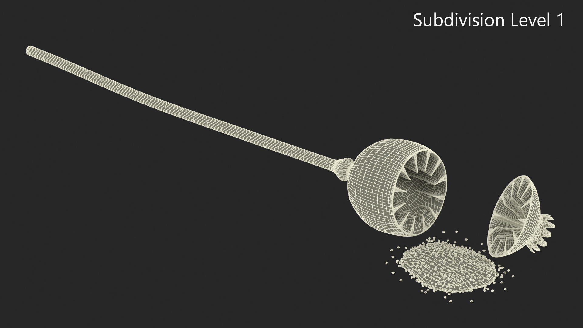 3D model Dry Open Poppy Seed Plant