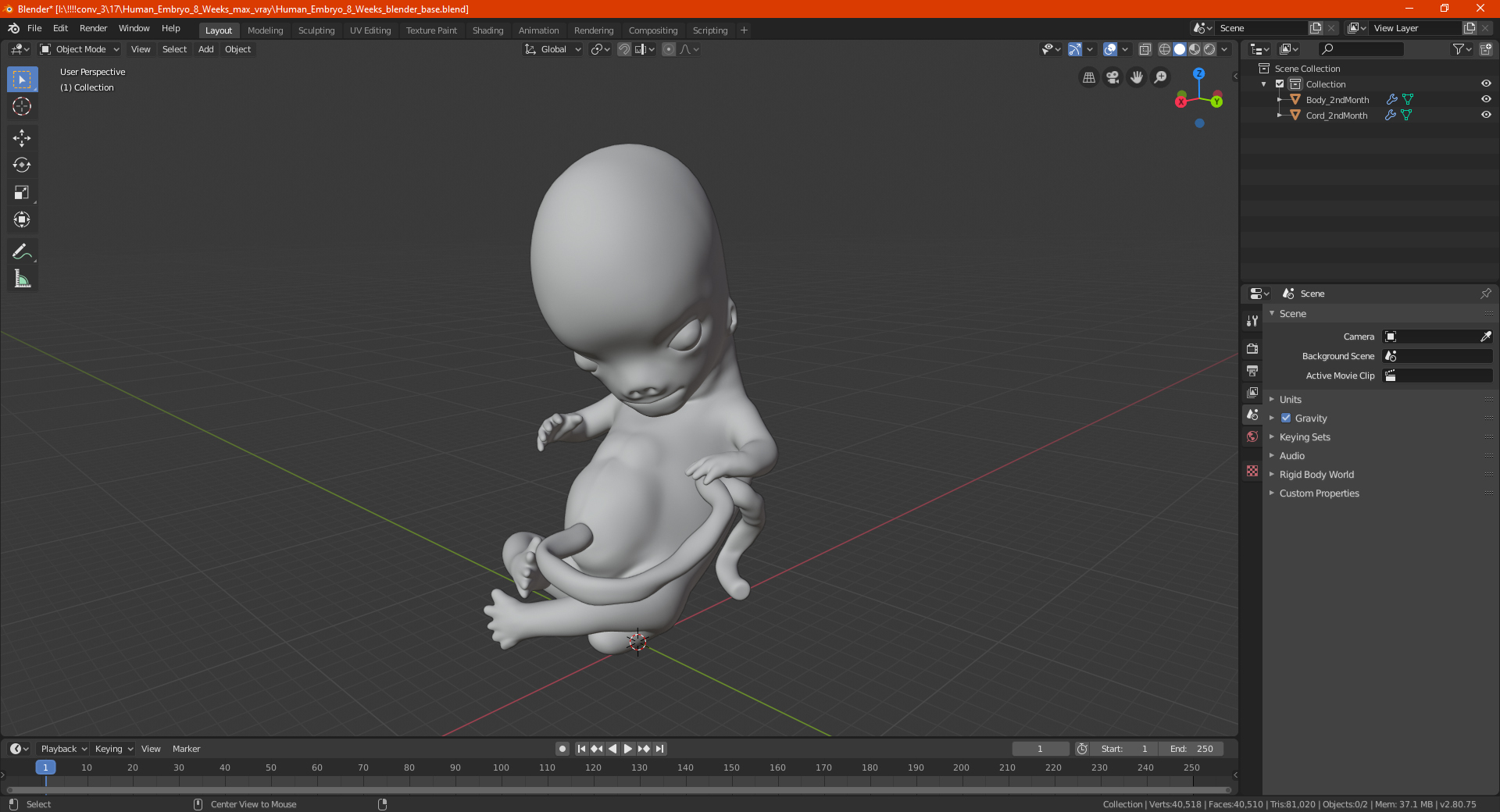 3D model Human Embryo 8 Weeks