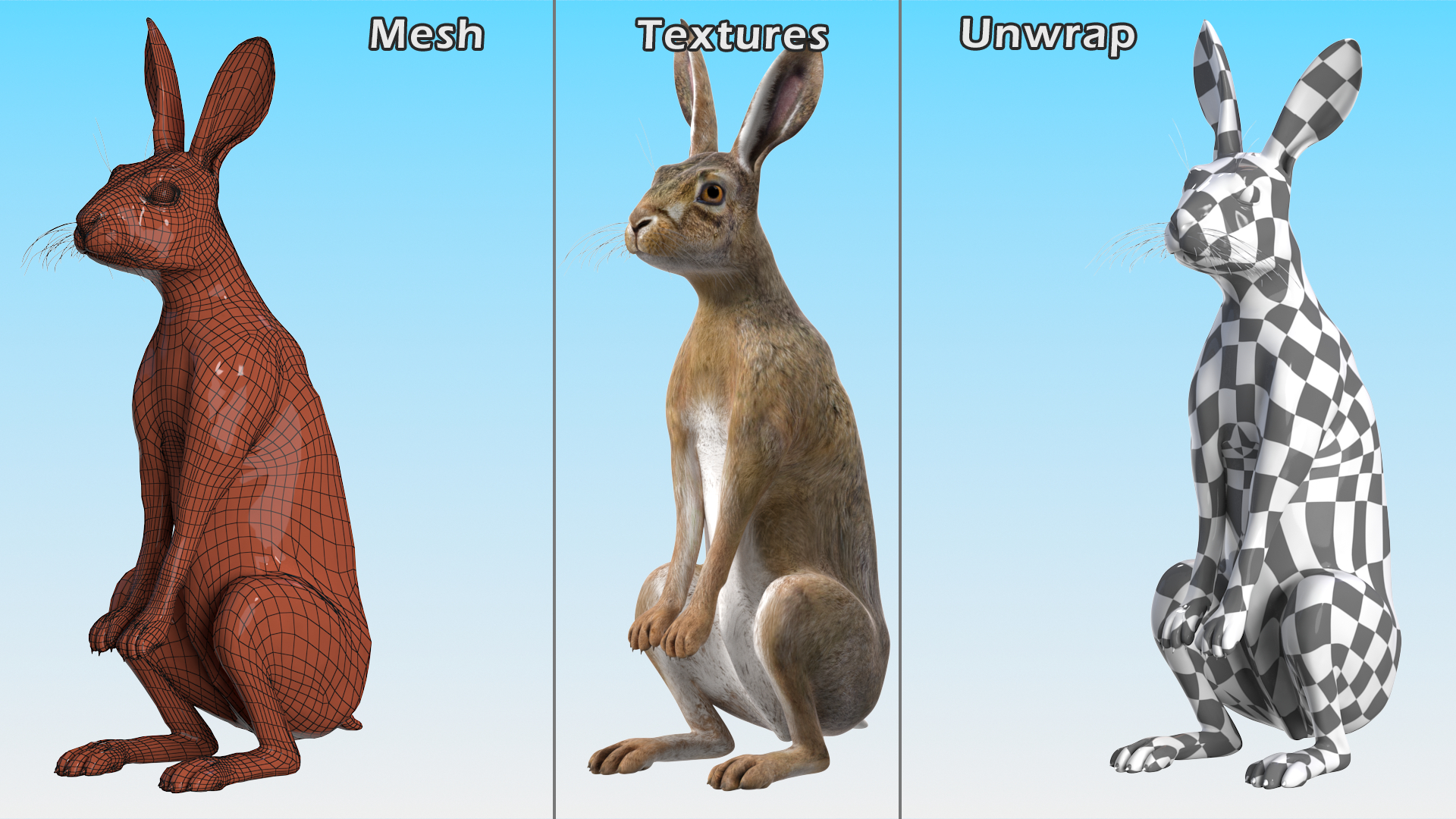 3D Hare Standing Pose model