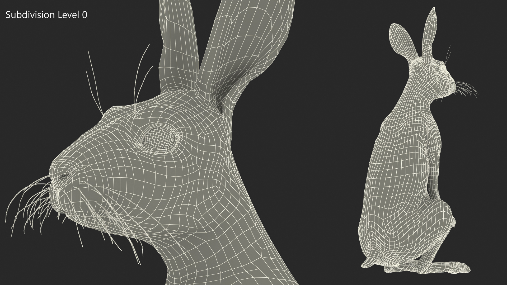 3D Hare Standing Pose model