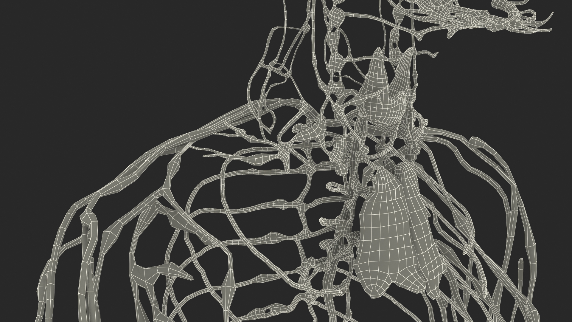 3D Young Boy Lymphatic System