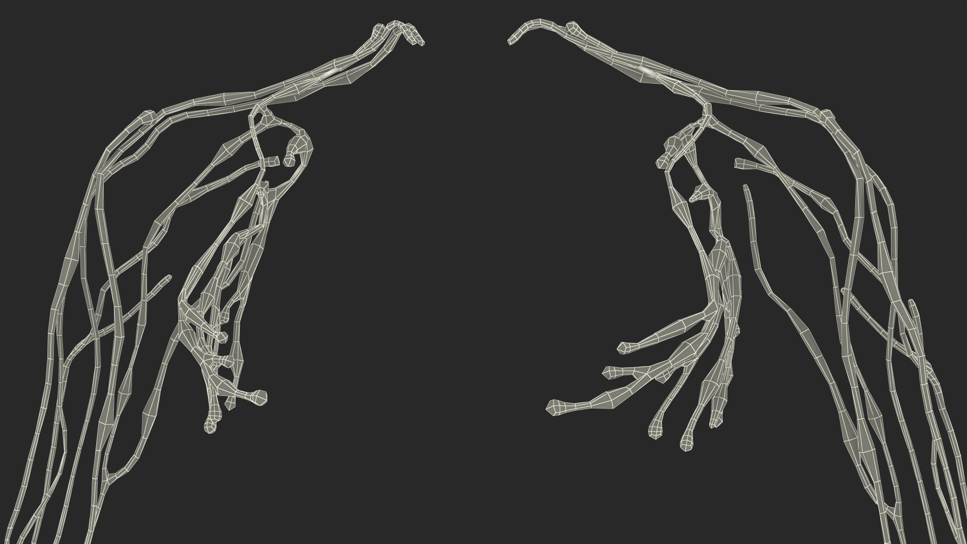 3D Young Boy Lymphatic System