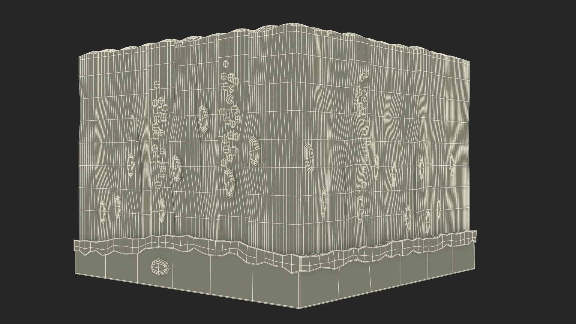 3D model Glandular Epithelium