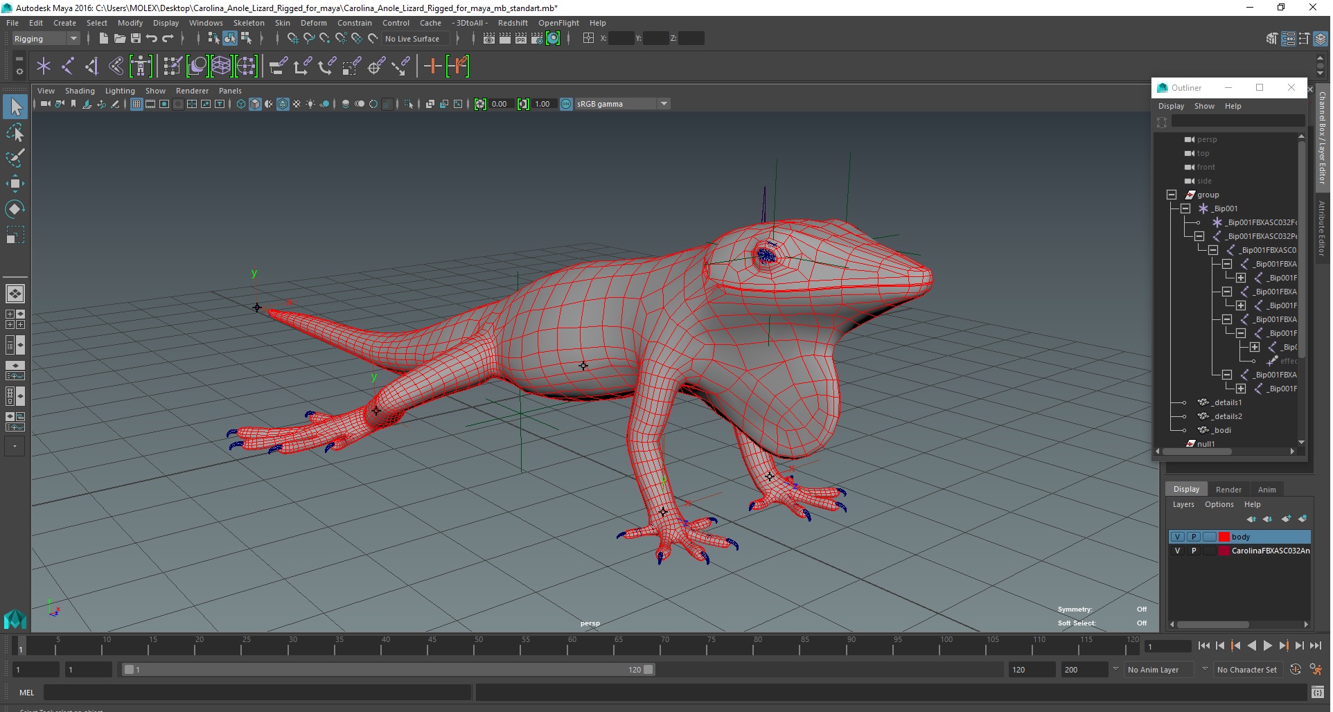 Carolina Anole Lizard Rigged for Maya 3D