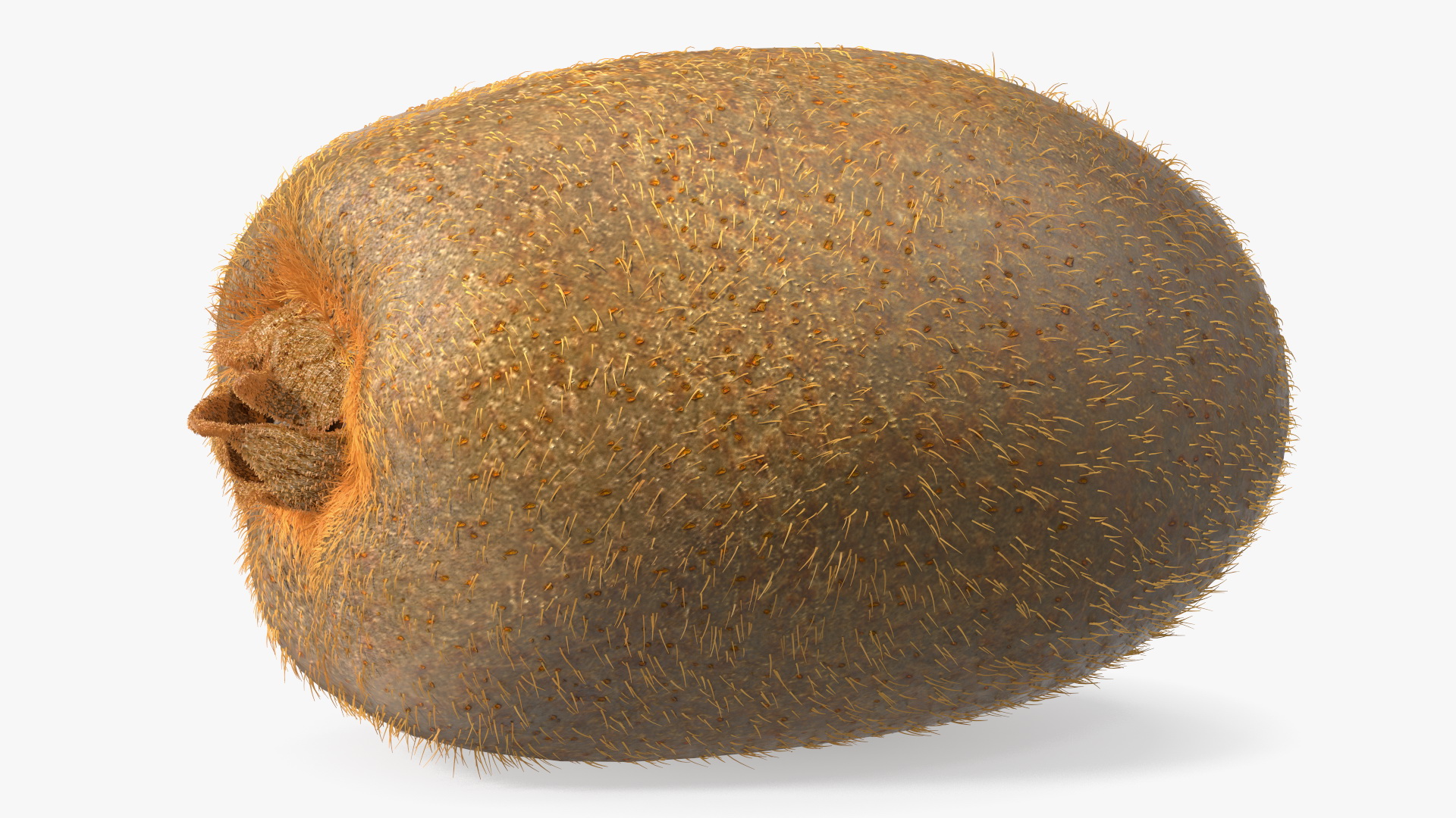 3D Tropical Fruit Kiwi with Fur model