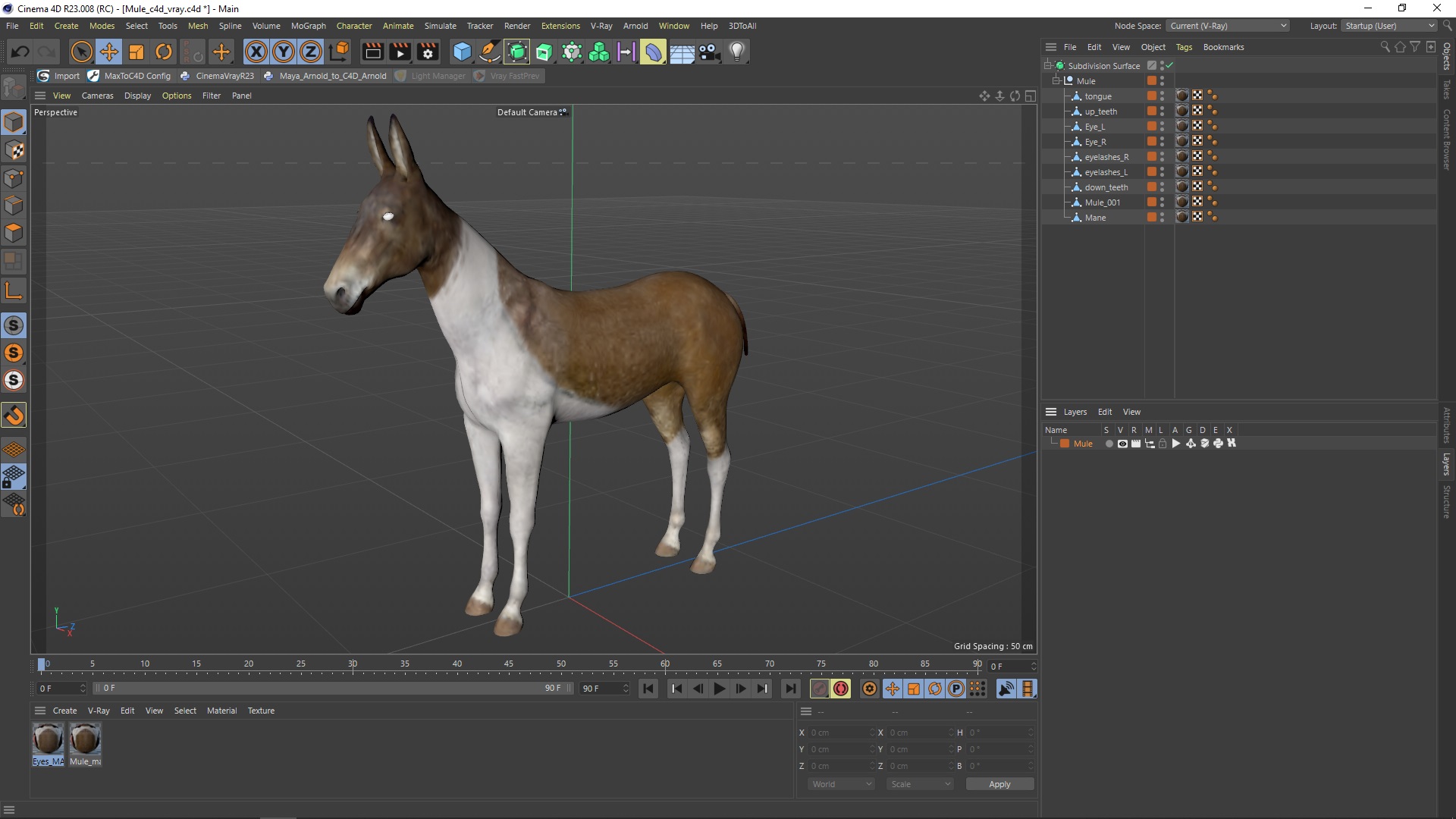 3D model Mule