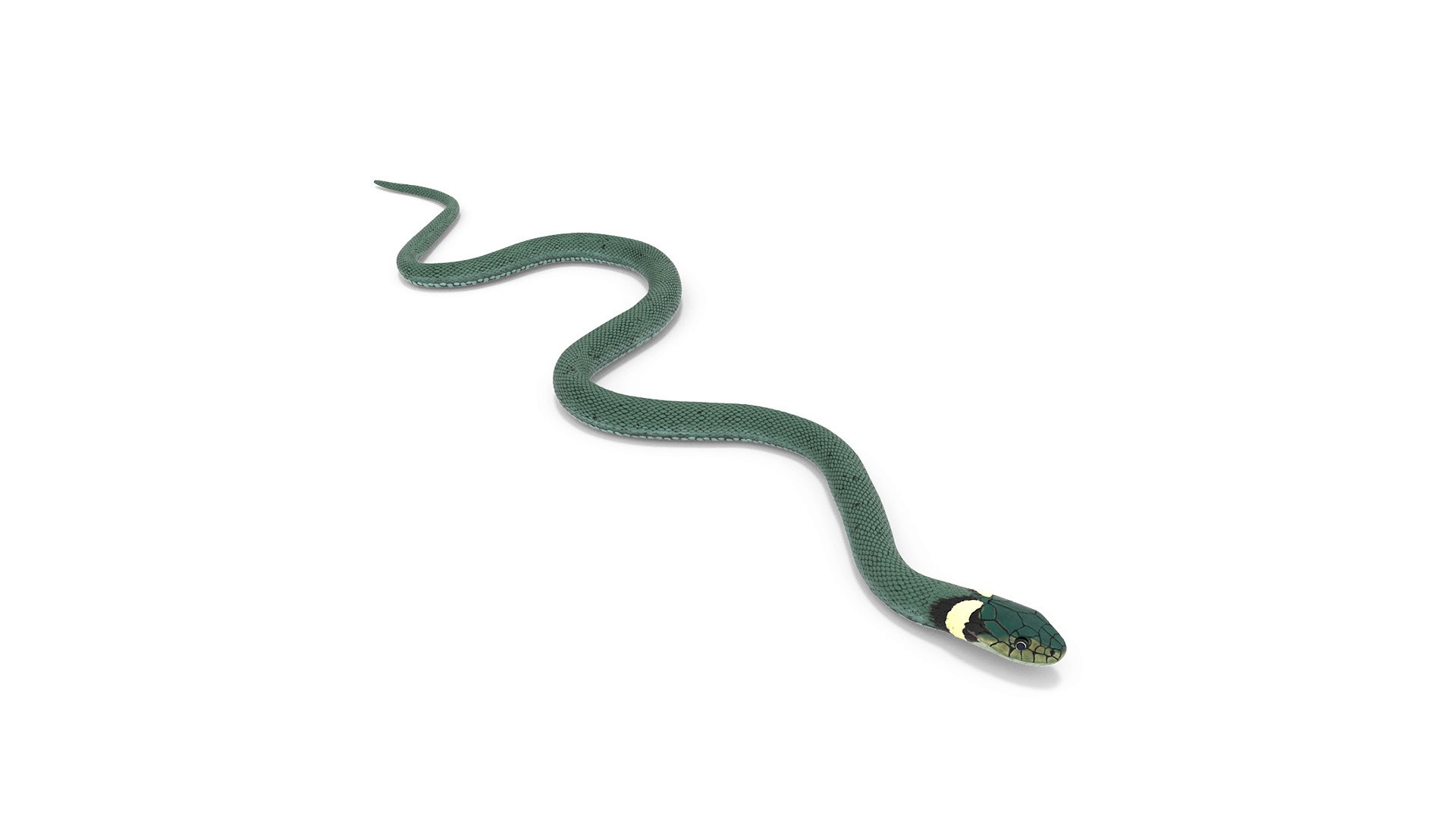 Grass Snake Green Rigged 3D model