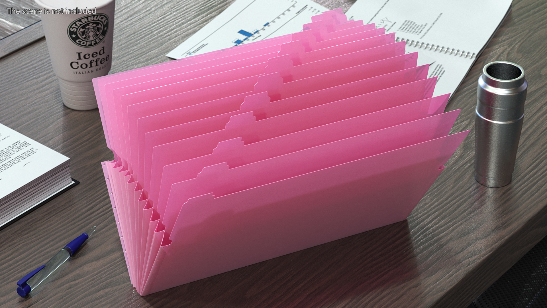 Pocket File Folders Open Pink 3D model