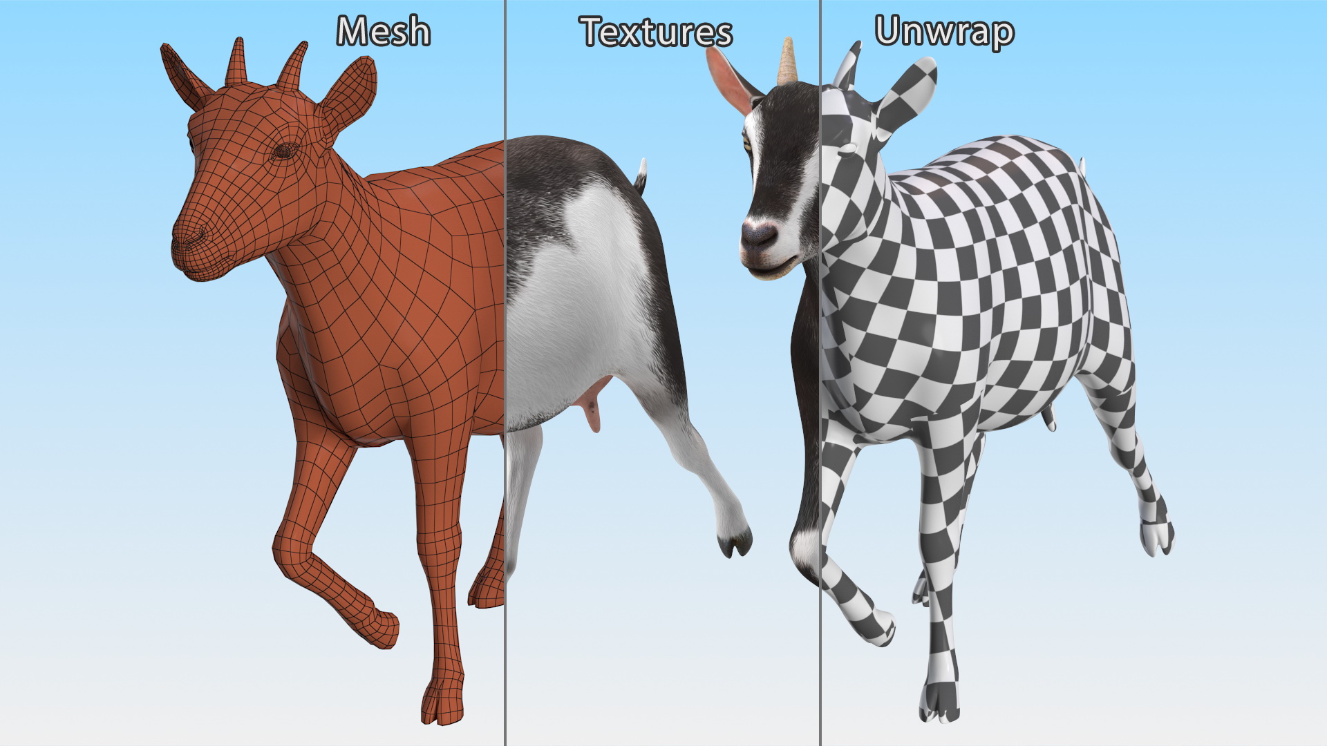 Walking Goat Black-White 3D model