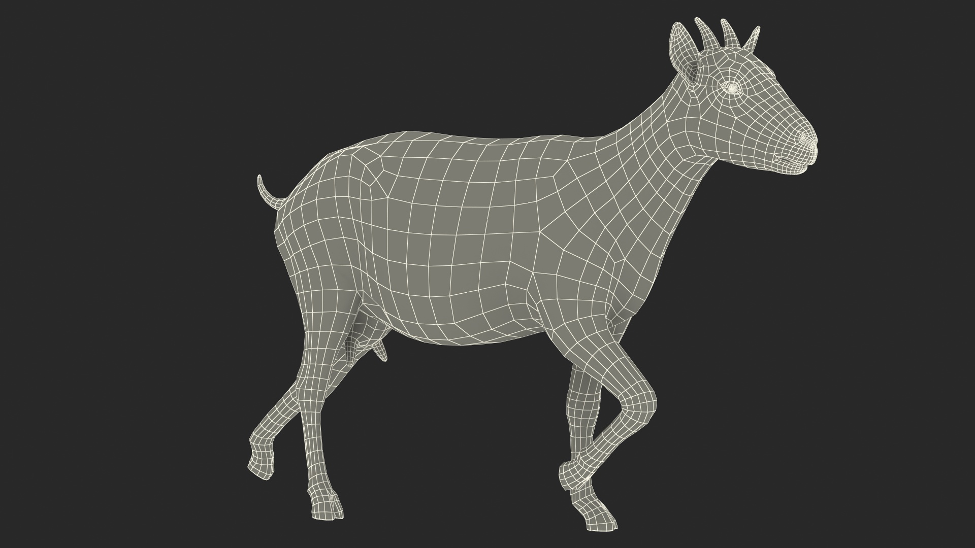 Walking Goat Black-White 3D model