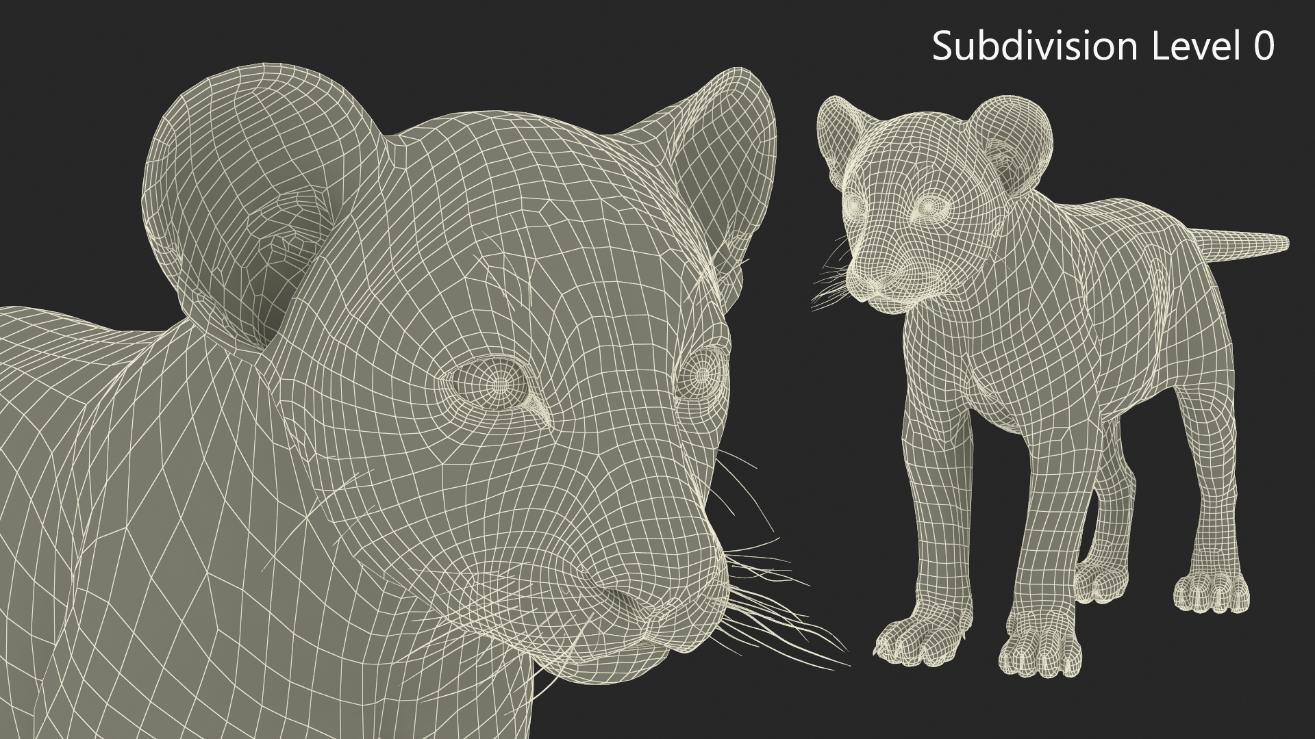 Lion Cub Fur Rigged 3D model