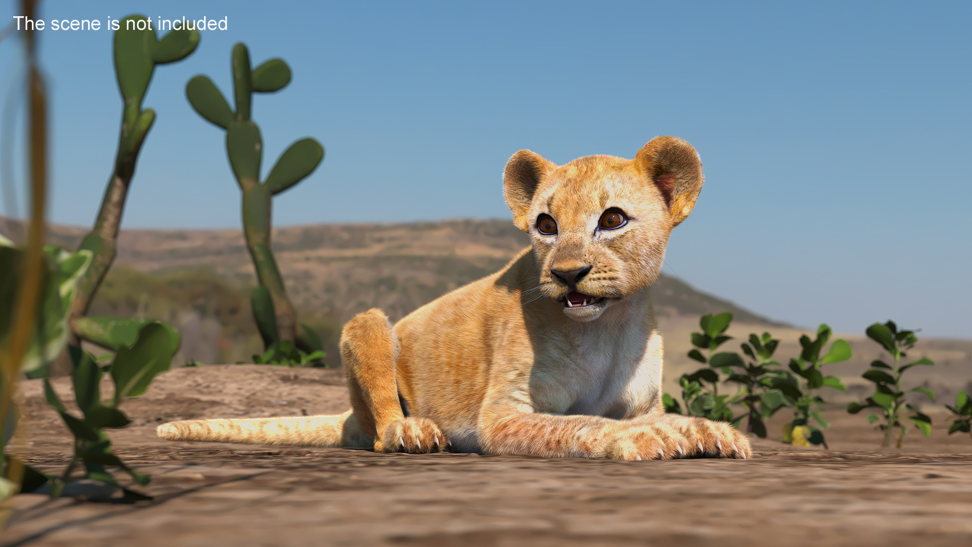 Lion Cub Fur Rigged 3D model