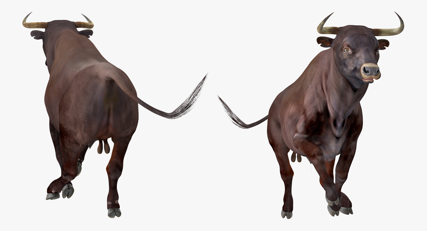 Bull Running Pose 3D