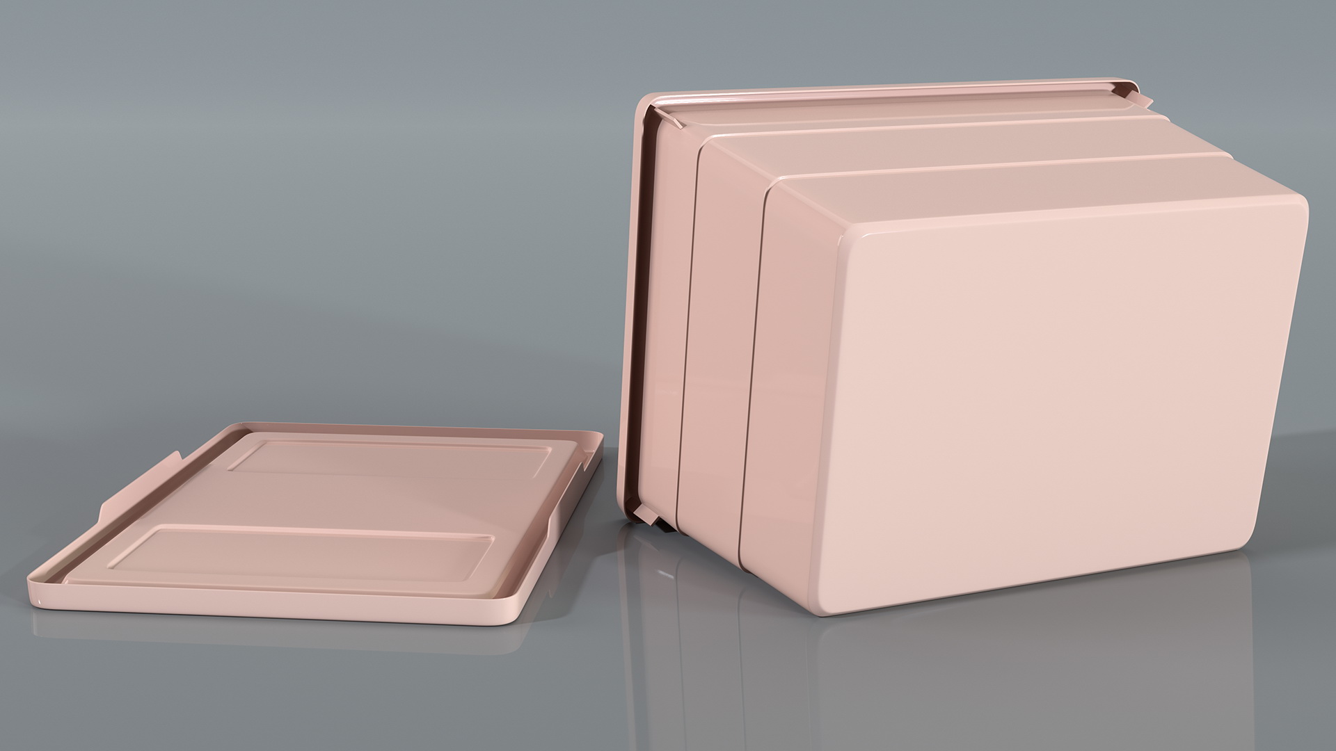 3D Pink Plastic Storage Box with Lid model