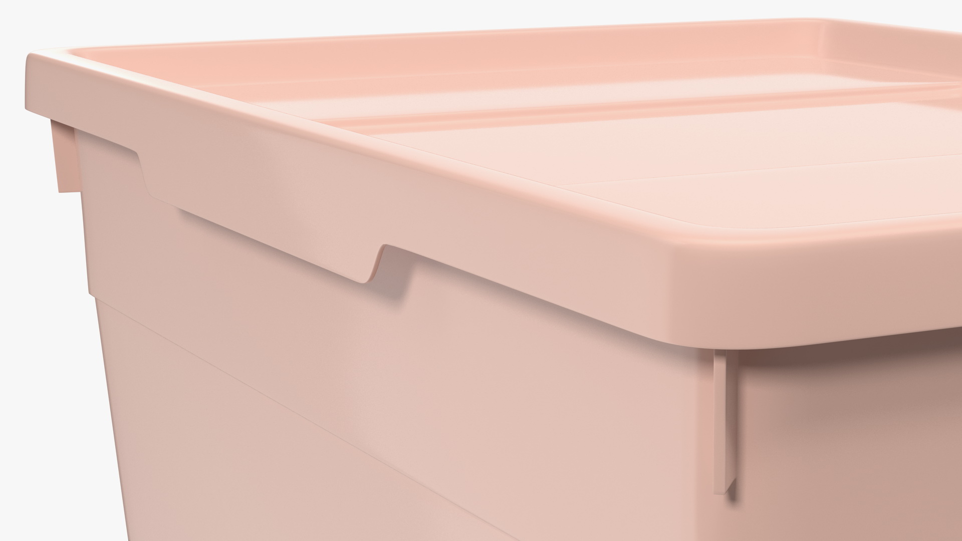 3D Pink Plastic Storage Box with Lid model