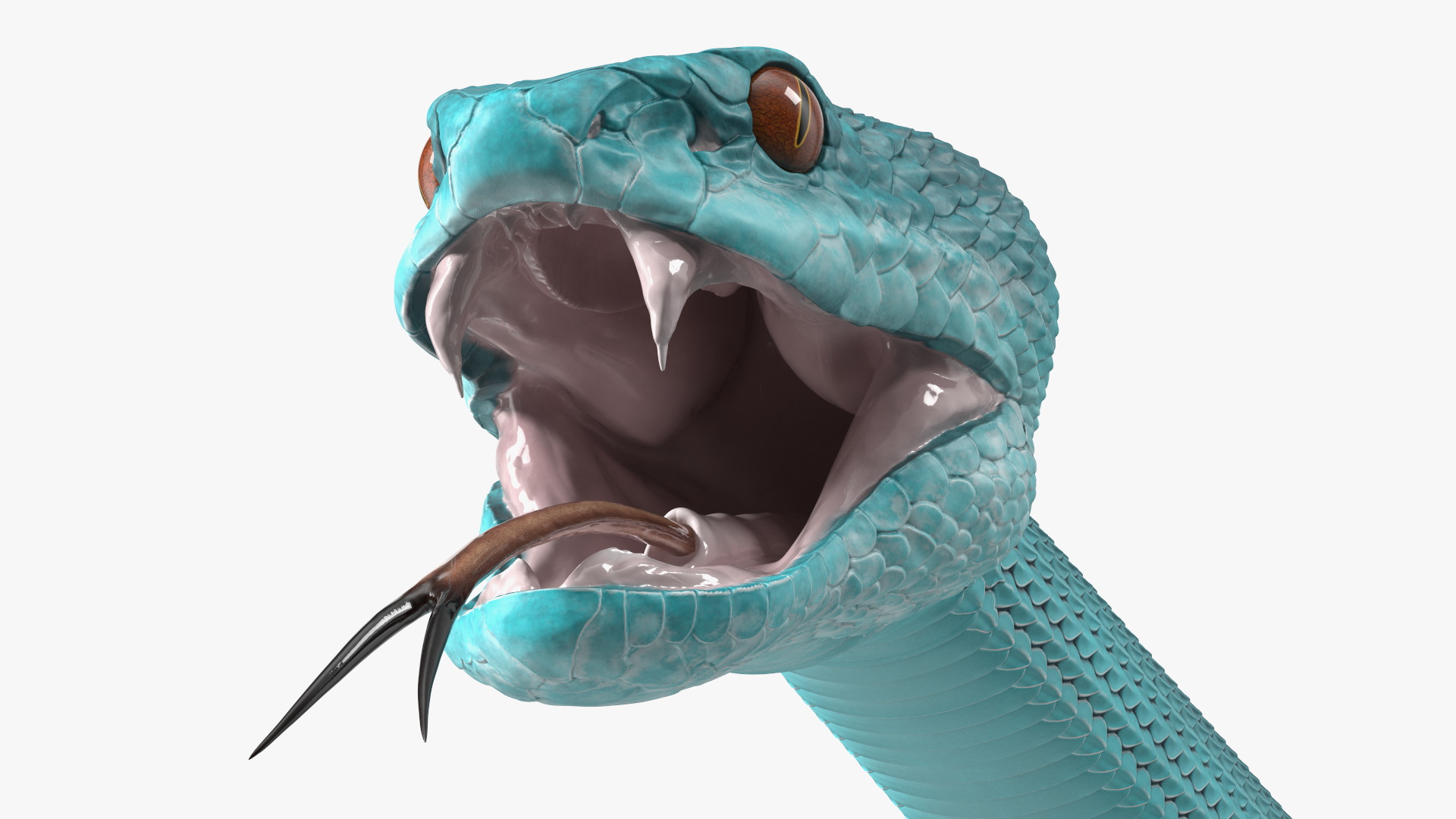 3D Blue Trimeresurus Snake model