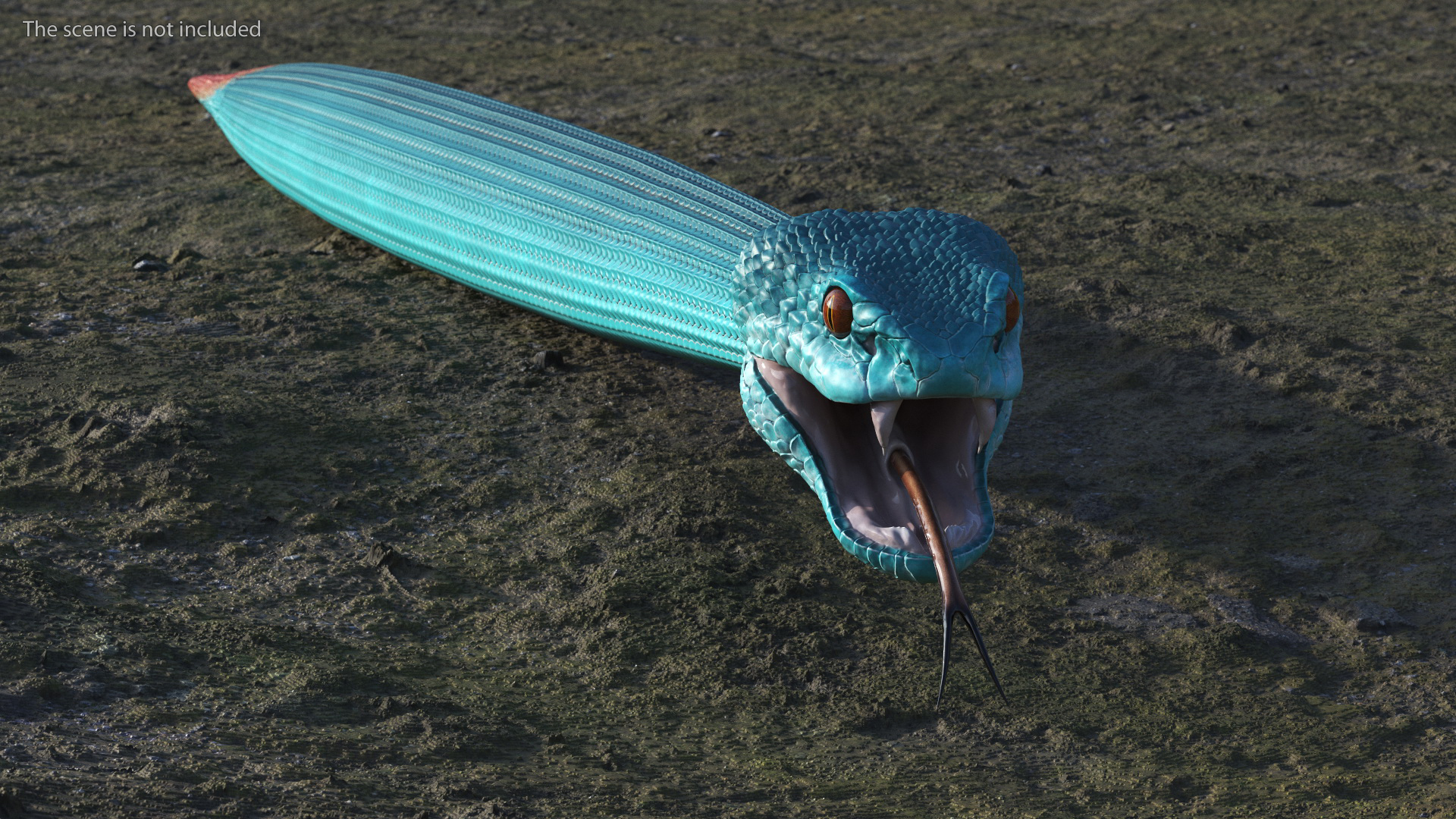 3D Blue Trimeresurus Snake model