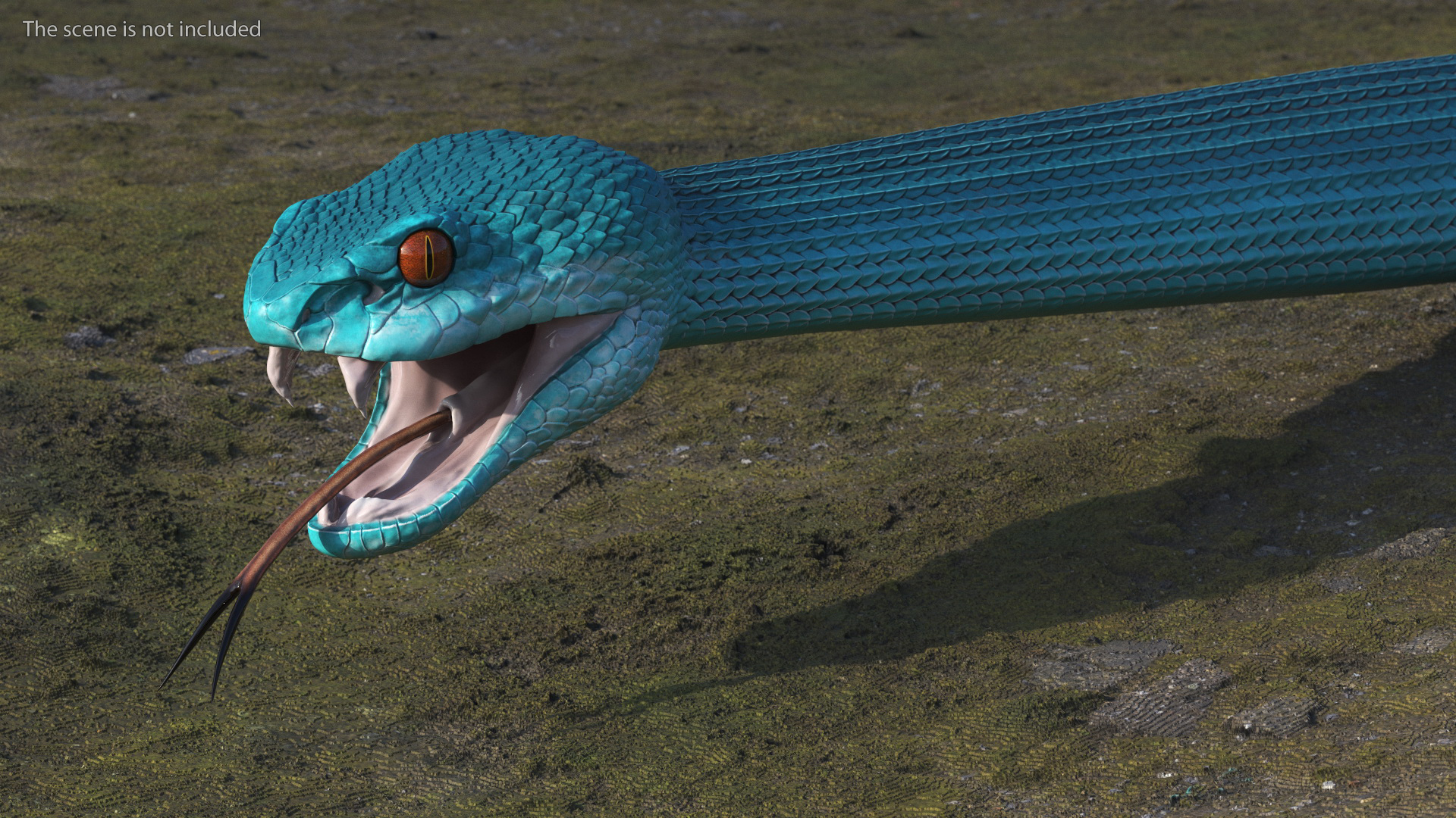 3D Blue Trimeresurus Snake model