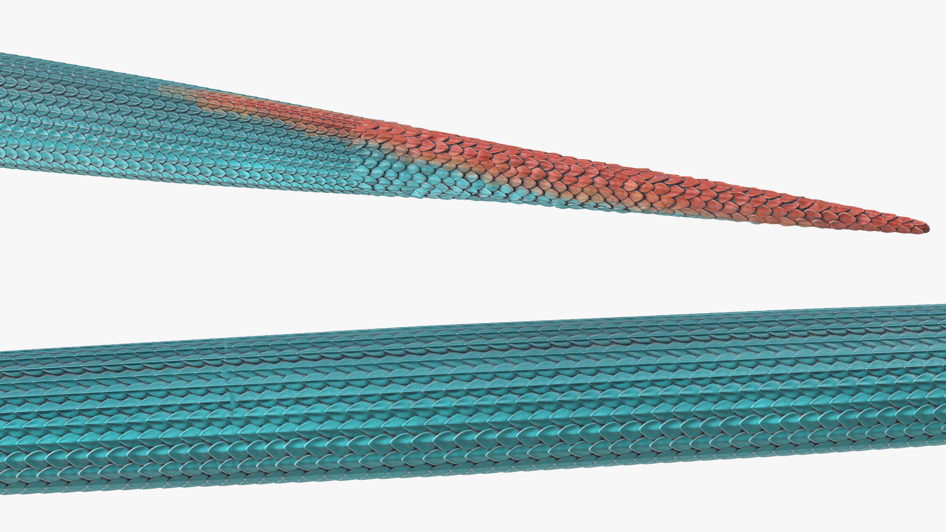 3D Blue Trimeresurus Snake model