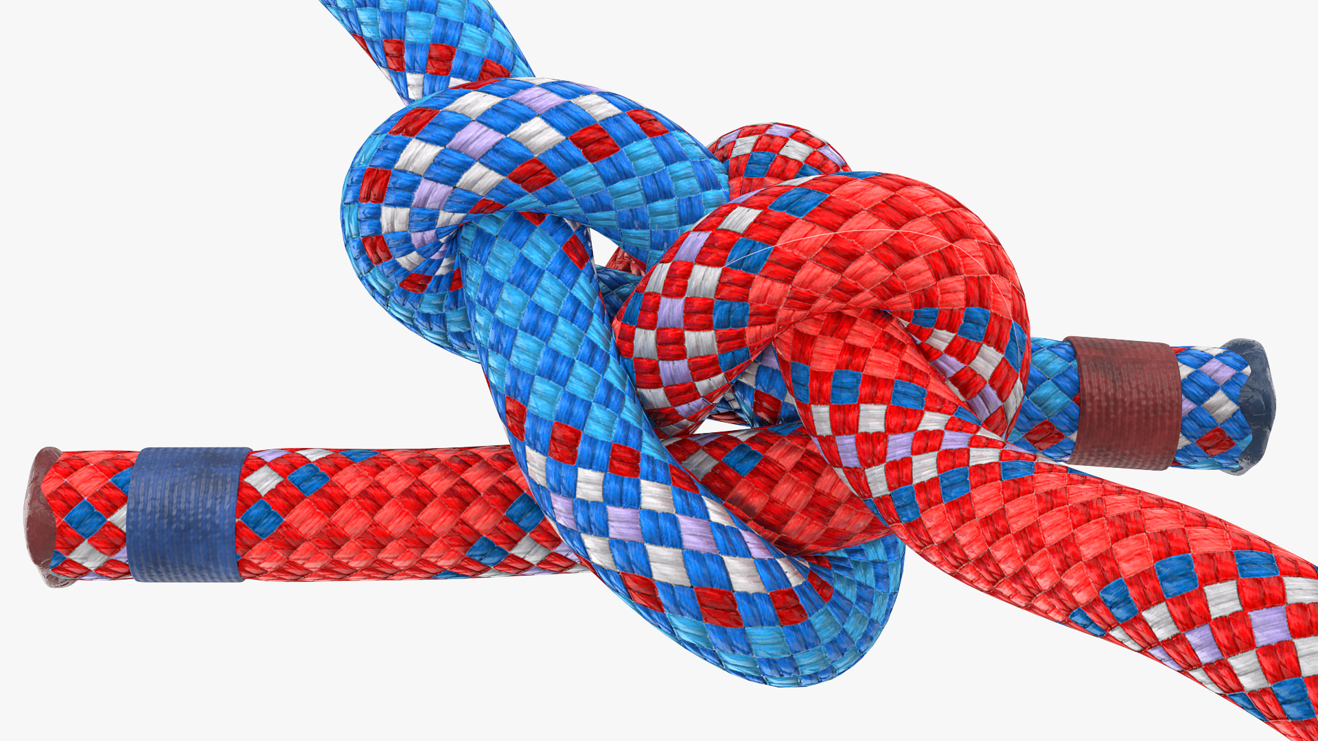 3D model Colored Carrick Bend Knot