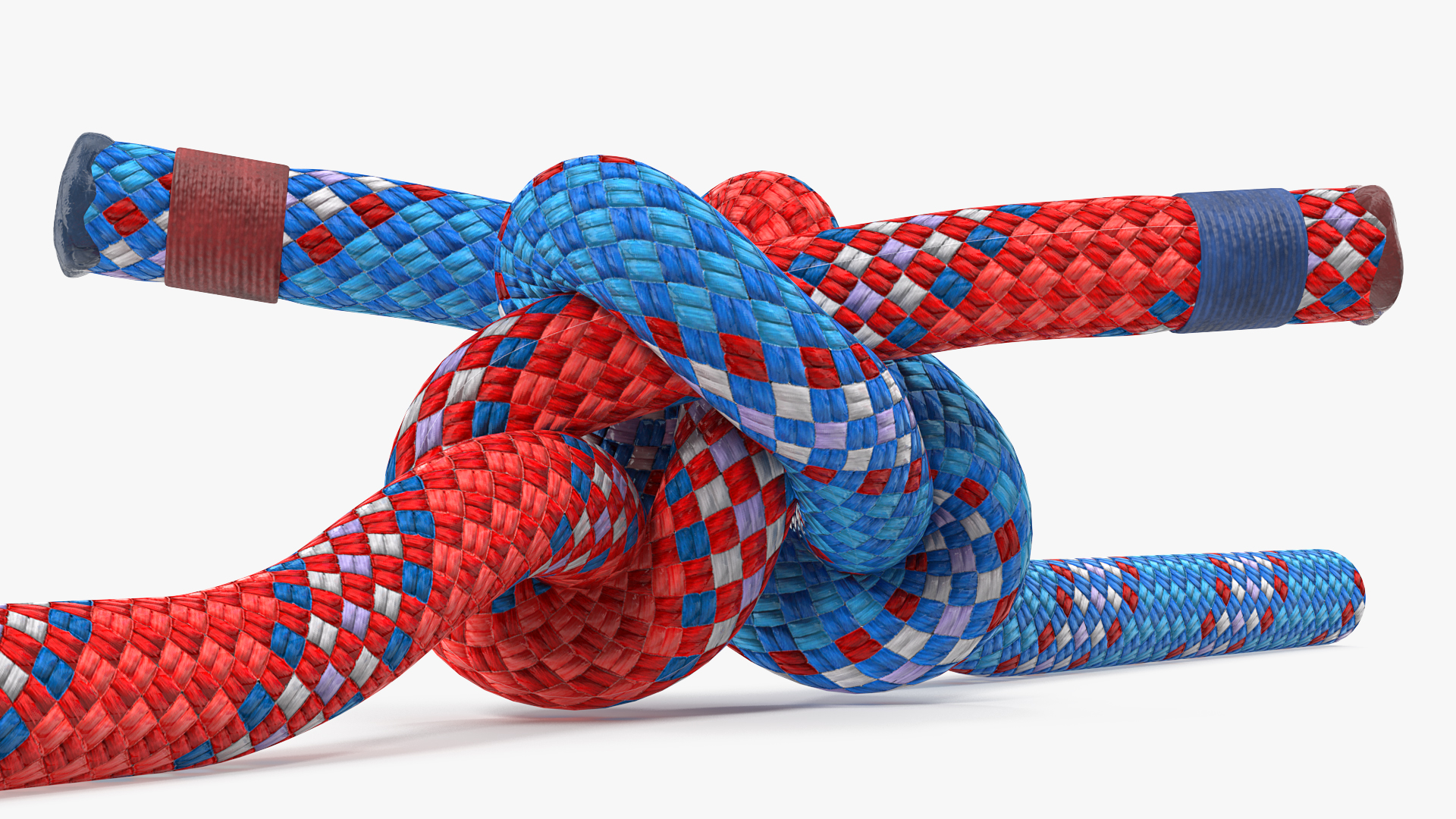 3D model Colored Carrick Bend Knot