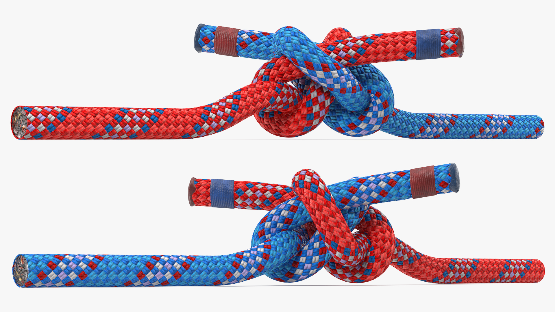 3D model Colored Carrick Bend Knot