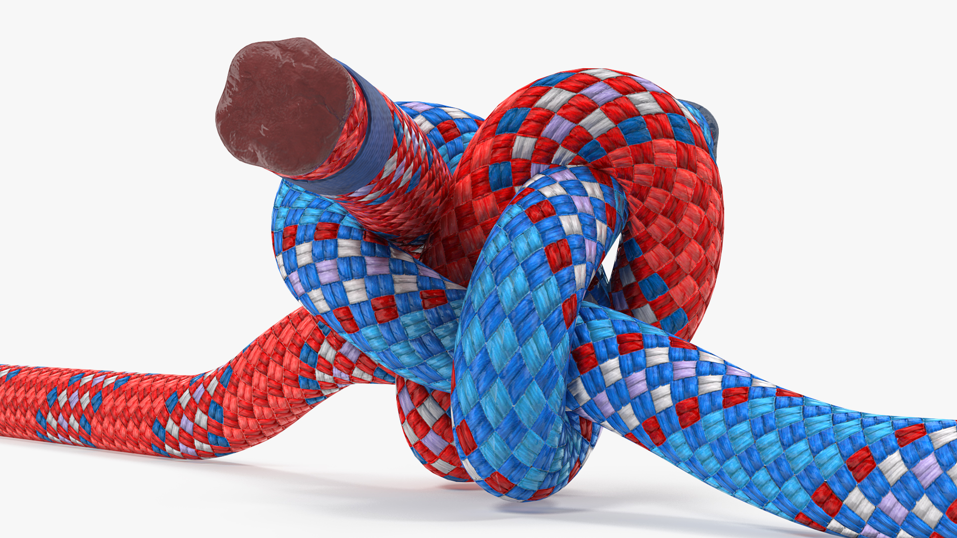 3D model Colored Carrick Bend Knot