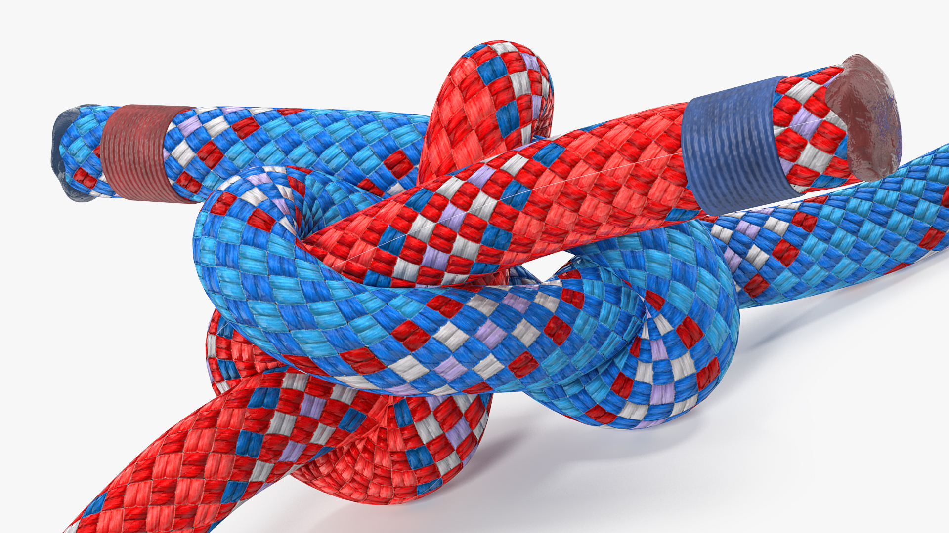 3D model Colored Carrick Bend Knot